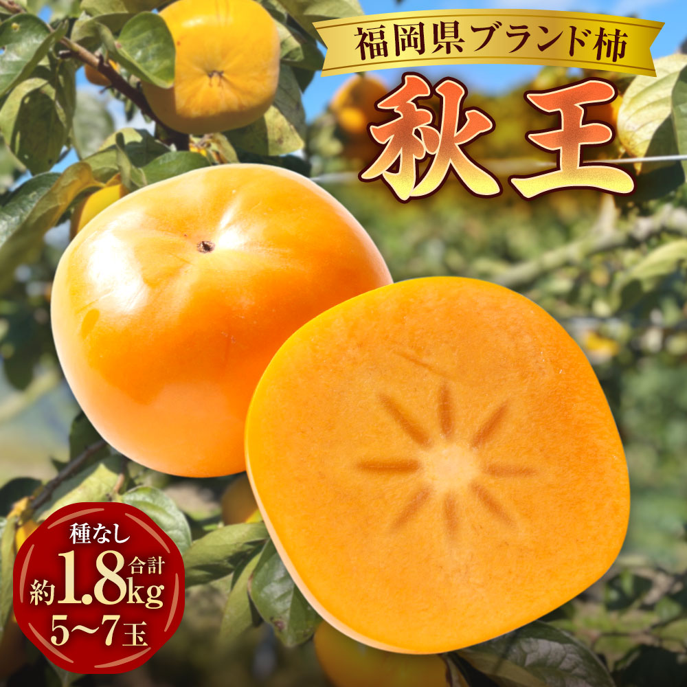 【ふるさと納税】福岡県ブランド柿 秋王 5～7玉 約1.8kg 種無し 柿 かき カキ フルーツ くだもの 果物 果実 冷蔵 福岡県産 国産 九州 福岡県 苅田町 送料無料 【2026年11月上旬～12月上旬発送予定】