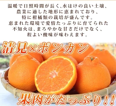 G7357_【2026年先行予約】紀州有田産 不知火 (しらぬい)【家庭用 訳あり】3kg デコポン フルーツ デザート 柑橘 果物 果実 みかん お取り寄せ 和歌山県 湯浅町 送料無料