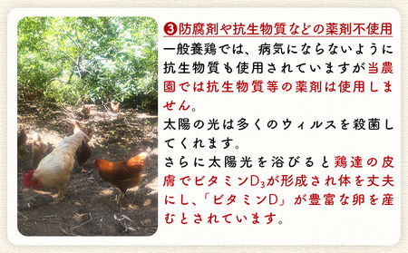 ＜自然農園「こころ」の平飼い『ありがとう卵』20個（10個×2パック）＞ 3か月以内に順次出荷【 卵 たまご タマゴ　生卵 ゆでたまご ゆで卵 卵焼き 玉子焼き オムレツ 親子丼 たまごかけご飯 たま