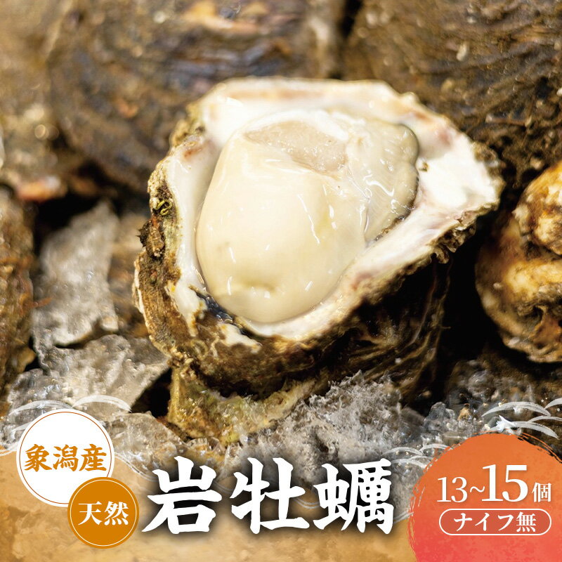 【ふるさと納税】【先行予約 7月上旬～下旬発送予定】にかほ市産 岩牡蠣　13～15個 ナイフ無【牡蠣 夏牡蠣 かき 象潟 魚介類 海鮮　海産物 海の幸】　　お届け：2026年7月1日～2026年8月10日※状況によって希望通りお届けできない場合もあります。