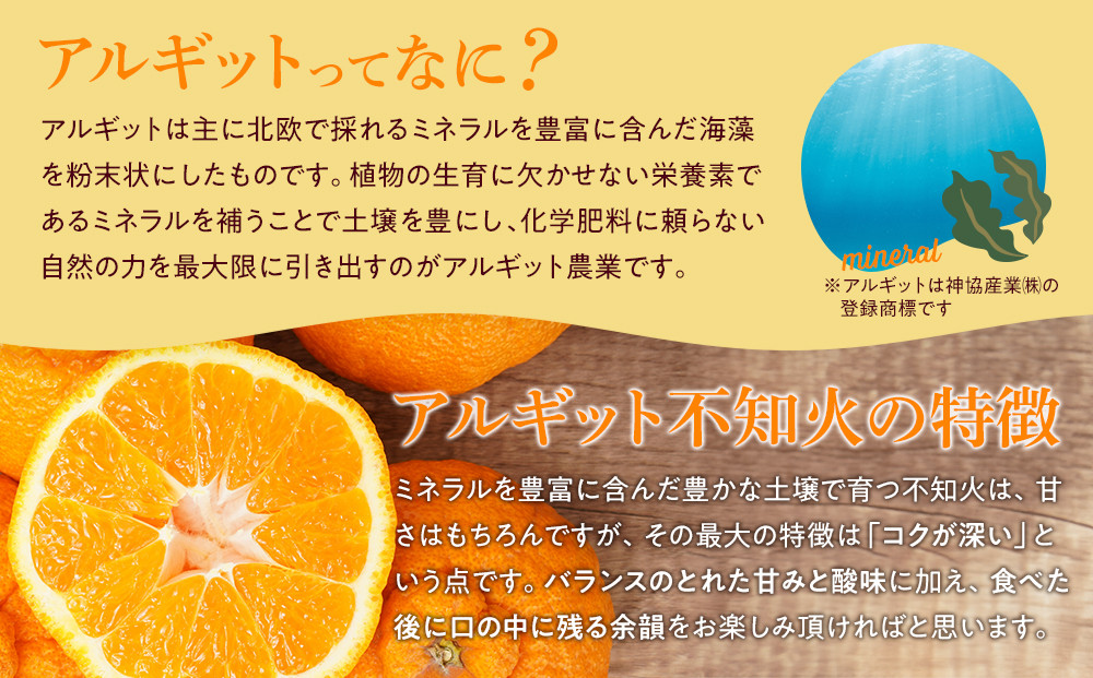 アルギット 不知火 約1.5kg 大玉 サイズ（5～6玉）| 先行予約 不知火 デコ みかん 甘い おいしい ジューシー 完熟 期間限定 数量限定 フルーツ 果物 柑橘 人気 おすすめ 高級 こだわり