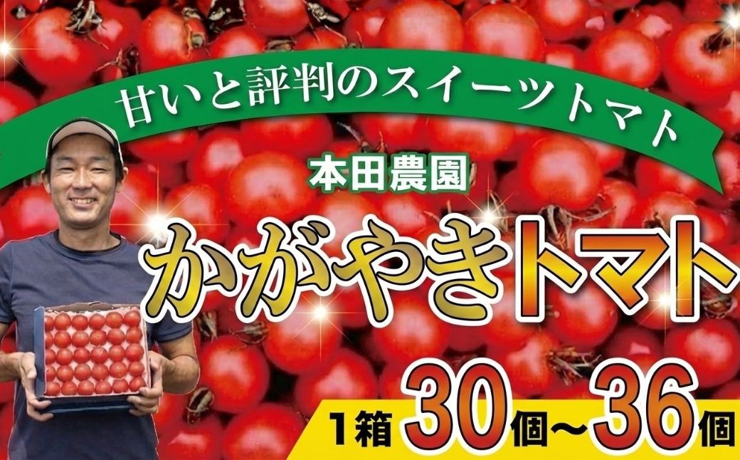 本田農園のかがやきトマト 1箱 約30～36個 完熟トマト｜石川県 小松市 本田農園