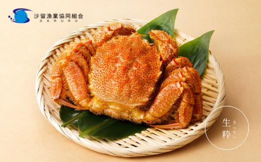 
            【 大きいサイズ 660g前後 】 冷凍浜茹で毛がに『1尾』
          