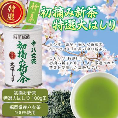 ふるさと納税 八女市 【先行受付】「2027年産 特選初摘み新茶」100g缶詰 2缶化粧箱入 ギフト対応 |  | 01