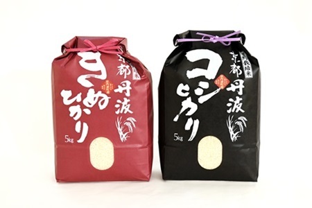 【12カ月定期便】京丹波こしひかり・きぬひかり 食べ比べセット 10kg×12カ月連続 合計120kg 京都 米 精米 コシヒカリ ※北海道・東北・沖縄は配送不可 [216MB003R]