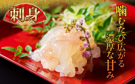 活 伊勢海老 ２尾入 約500g 丸池 えび 海老 ebi いせえび 伊勢 魚 魚介 海鮮 海産物 海 特産品 うま味 旨味 海の幸 アウトドア バーベキュー 刺身 炭火焼 味噌汁 産地直送 国産 三