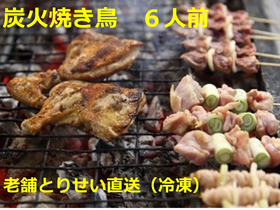 
            とりせい 炭焼き若どり 6人前セット(冷凍)鶏肉 焼き鳥 小分け
          