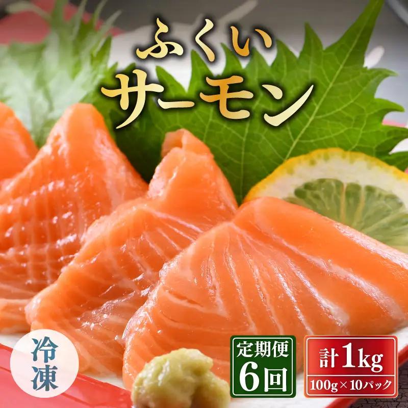 【6ヶ月連続お届け】ふくいサーモン 1kg 真空冷凍 100g×10パック×6回【サーモン 鮭 刺身 サケ 小分け 生食 国産】 [O-6201]