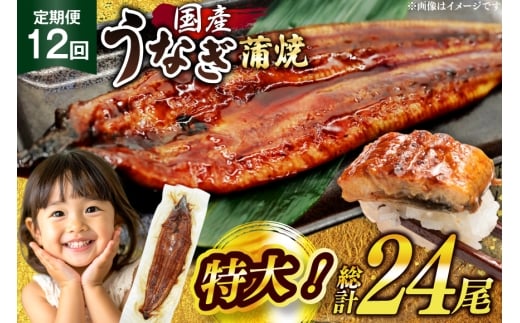 うなぎ 国産 定期便 鰻 蒲焼 特大 約200g 2尾 計400g以上 12回 総計約4.8kg 小分け 【有頭】[大黒物産 福岡県 宇美町 um40bak830020] タレ 山椒付 茶葉蒸し ウナギ 不揃い 規格外 鹿児島 宮崎 うなぎ蒲焼 鰻蒲焼き 蒲焼き かば焼き 真空パック 個包装 冷凍 unagi