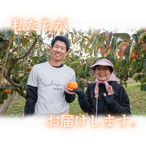 うま杉の富有柿 10kg L ※2025年11月中旬～12月中旬頃に順次発送予定