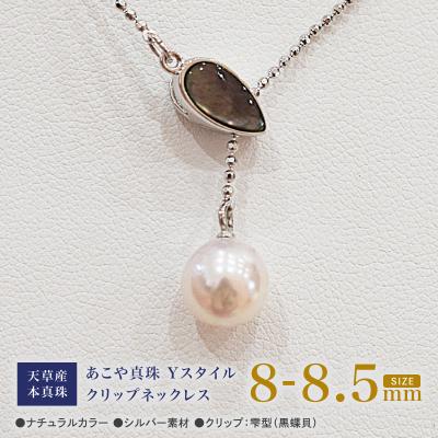 ふるさと納税 天草市 あこや真珠 ホワイトピンク 8-8.5mm 1粒 ネックレス  【黒蝶貝】_S101-384