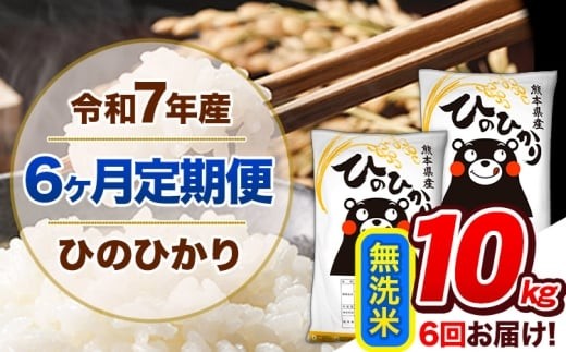 【6ヶ月定期便】 令和7年産  定期便 無洗米 ひのひかり 10kg 《お申込み翌月から出荷》令和7年産 熊本県産 ふるさと納税 精米 ひの 米 こめ ふるさとのうぜい ヒノヒカリ コメ 熊本米 ひのもり