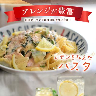 ふるさと納税 西予市 【先行受付】天晴レモン　ご家庭用　約1.5kg |  | 02