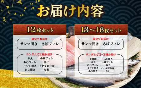 訳あり魚詰め合わせ 12枚(4種)　干物 干物 干物 干物 干物