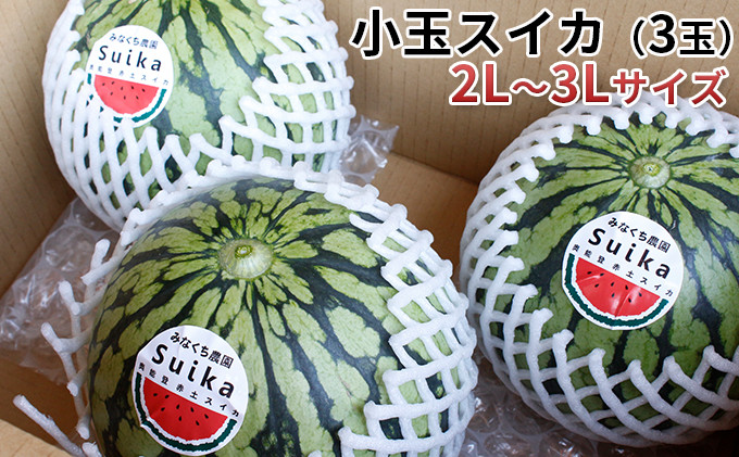 
            [№5984-0016]【在庫数限定】小玉スイカ（3玉）1玉約1.8kg～2.8kg 果物類
          