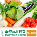 【ふるさと納税】季節のお野菜 おまかせセット B（9～10種類）詰め合わせ