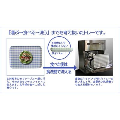 ふるさと納税 海南市 和歌山県海南市 SRトレーL 39cm ミルキーチェック グリーン 2枚組 レンジと食洗機対応トレー |  | 03