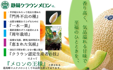 メロン 特大玉 1玉 12ヵ月連続お届け 果物類 メロン