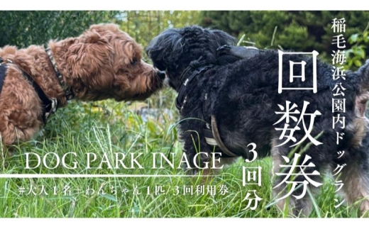 稲毛海浜公園ドッグラン回数券（3回分/15キロ以下対象） チケット 利用券 回数券 ペット 犬 ドッグラン DOG　PARK INAGE 屋外 千葉県 千葉市 稲毛 [№5346-2589]