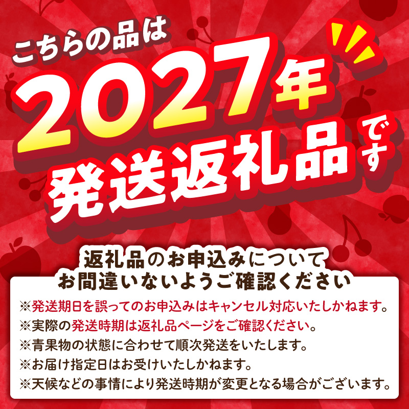 《先行受付》【2027年3月発送予定】 最高級 特選大玉サンふじ約3kg【大江町産・山形りんご・大地農産】