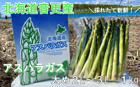 ［先行受付］北海道音更産「川野農園」のグリーンアスパラ1kg(太め2L～3L)【A66】【2026年5月中旬～6月上旬発送予定】