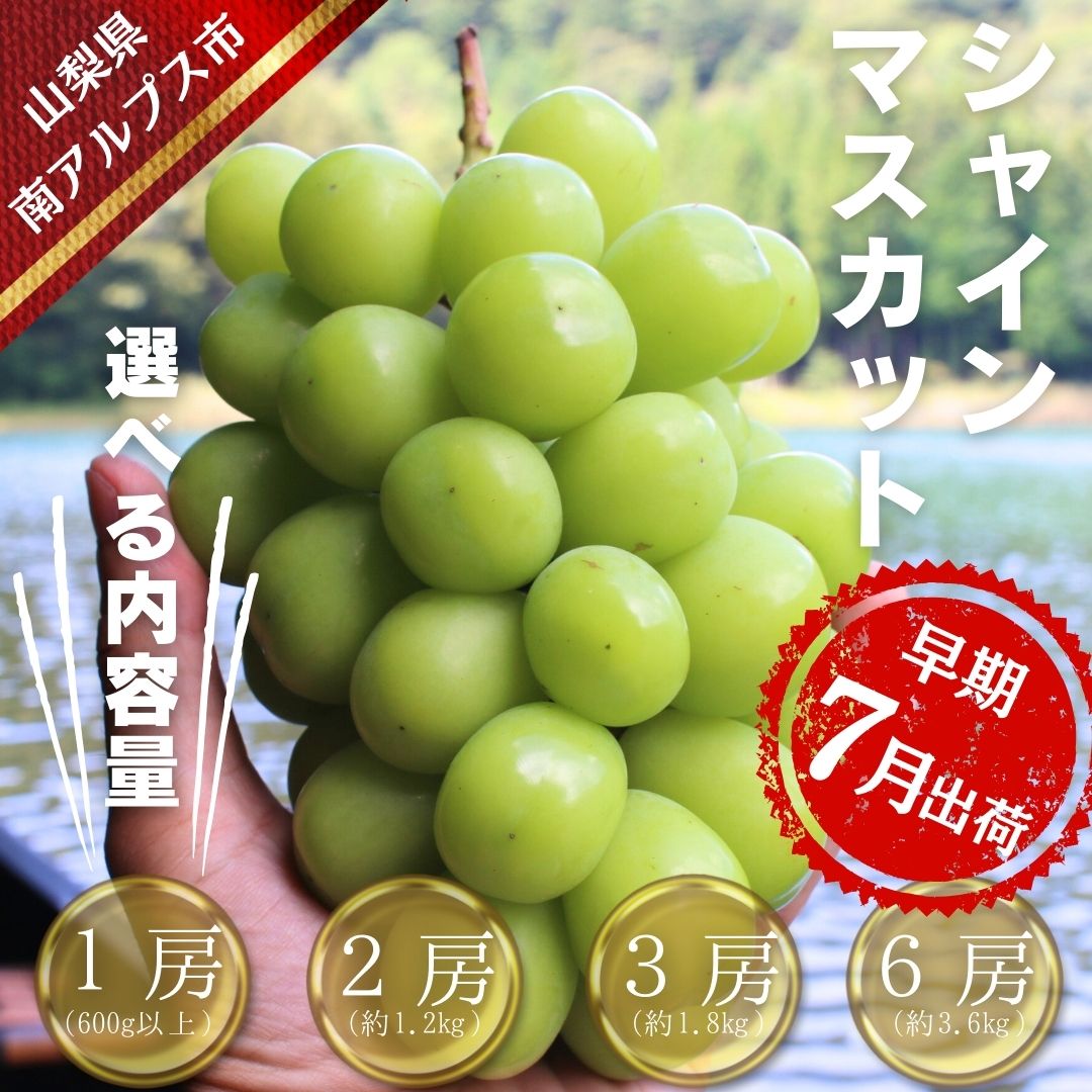 【ふるさと納税】【令和7年発送・先行予約】 【早期出荷】 ハウス栽培 シャインマスカット 600g以上・約1.2kg・約1.8kg・約3.6kg ふるさと納税 山梨県 南アルプス市 フルーツ 果物 くだもの ぶどう ブドウ ギフト お中元 ALPDX008