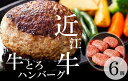 【ふるさと納税】 【近江牛 牛とろハンバーグ 150g 6個】ふるさと納税 冷凍 ハンバーグ ギフト お取り寄せ 贈答用 黒毛和牛 ブランド牛 三大和牛 和牛 冷凍食品 お弁当 おかず お惣菜 滋賀県 竜王 Kitchenパル