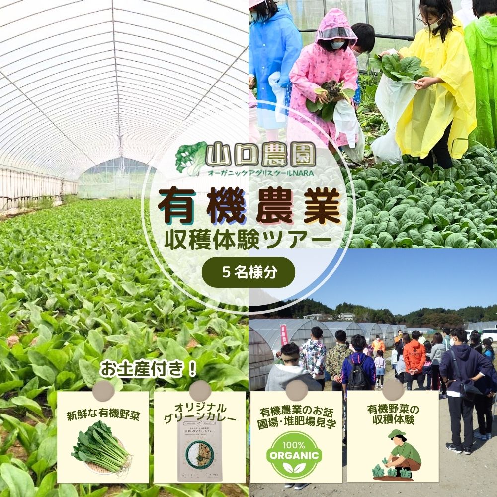 【ふるさと納税】有機農業 収穫体験 ツアー お土産付 5名様迄／ 農家 有機野菜 オーガニック 無農薬 SDGs 関西 チケット カレー 山口農園 奈良県 宇陀市
