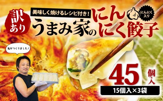訳あり 餃子 にんにく 45個 冷凍 小分け レシピ付き 惣菜 中華 ぎょうざ ギョーザ gyouza gyo-za おかず つまみ 焼くだけ 簡単調理 ご飯のお供 便利 加工食品 弁当 おつまみ 晩ごはん にんにく餃子 埼玉県 羽生市 うまみ家