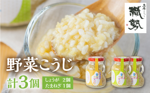 野菜麹 野菜こうじ 飛騨こうじ しょうが2個 たまねぎ1個 計3セット 米麹 米こうじ 生麹 発酵