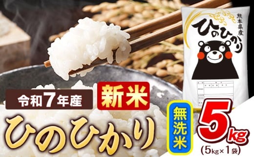 新米 令和7年産  無洗米 ひのひかり 5kg 《11月上旬頃まで出荷》熊本県産 ふるさと納税 精米 ひの 米 こめ ふるさとのうぜい ヒノヒカリ コメ お米 おこめ