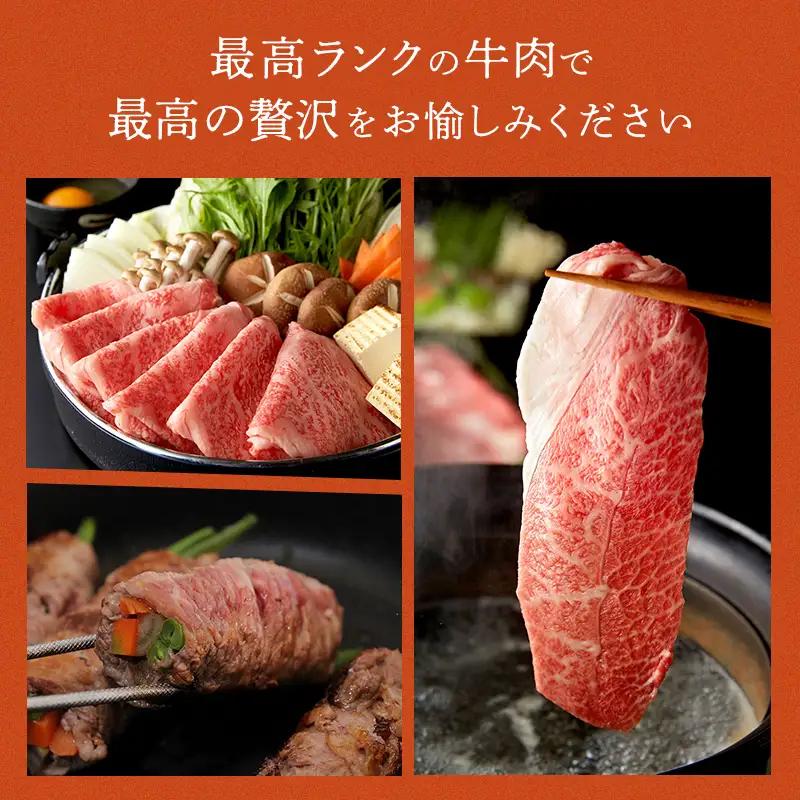 飛騨牛 ロース 肩ロース 500g すき焼き しゃぶしゃぶ 牛肉 和牛肉 霜降り カタロース 岐阜県 坂祝町 養老ミート お取り寄せ グルメ ギフト 御祝 内祝 2 人前 3 人前 鍋 セット  F6