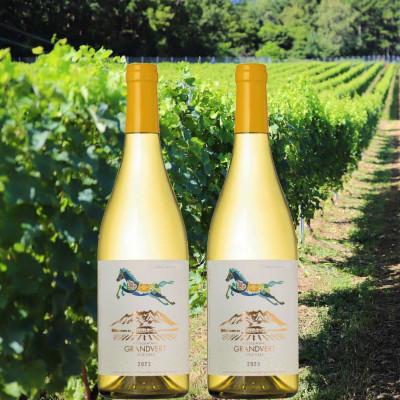 ふるさと納税 韮崎市 淡路結 シャルドネ 2023　750ml×2本セット