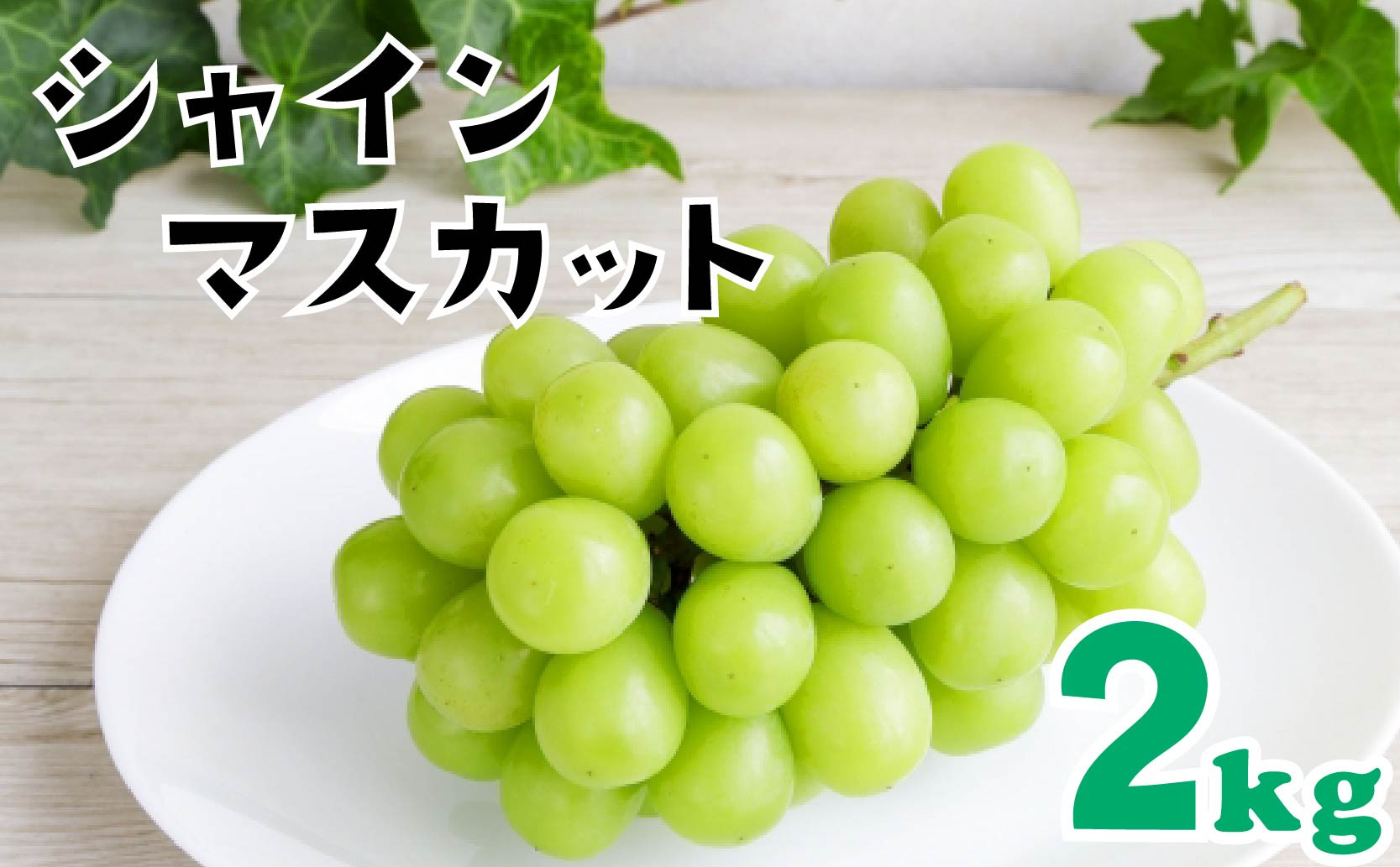 
                  【2026年8月上旬頃から順次発送】シャインマスカット 2kg ぶどう シャインマスカット しゃいんますかっと マスカット ますかっと 産地直送 果物 フルーツ 甘い 完熟 季節限定 先行予約 しゃいんますかっと 大粒 シャインマスカット 愛媛県 松山市 えひめけんさんしゃいんますかっと ブドウ 松山市産シャインマスカット 贈答 期間限定 かをる屋のシャインマスカット プレゼント ギフト ぶどう
                
