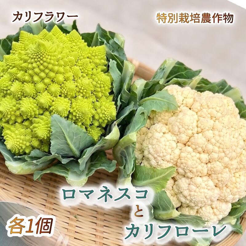 【ふるさと納税】 【予約受付】カリフラワー ロマネスコ と カリフローレ 特別栽培 産地直送 農家直送 美味しい 旬 お野菜 新鮮 静岡県 沼津市 やまひろ農園