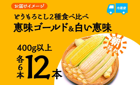 とうもろこし イエロー ＆ ホワイト 2種 食べ比べ 恵味ゴールド 白い恵味 400g以上 各6本 計12本 野菜 おやつ 旬 産地直送 送料無料 湖南野菜出荷組合 山梨県 富士河口湖町