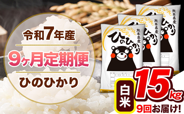 【9ヶ月定期便】令和7年産 白米 定期便 ひのひかり 15kg 《お申込み翌月から出荷》熊本県産 ふるさと納税 白米 精米 ひの 米 こめ ふるさとのうぜい ヒノヒカリ コメ 熊本米 ひのもり