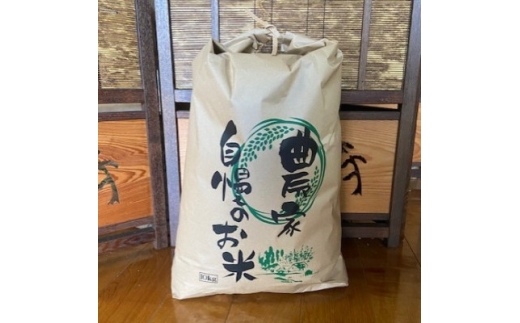 ＜毎月定期便＞お米　ヒノヒカリ　(白米)10kg×全3回【4061622】