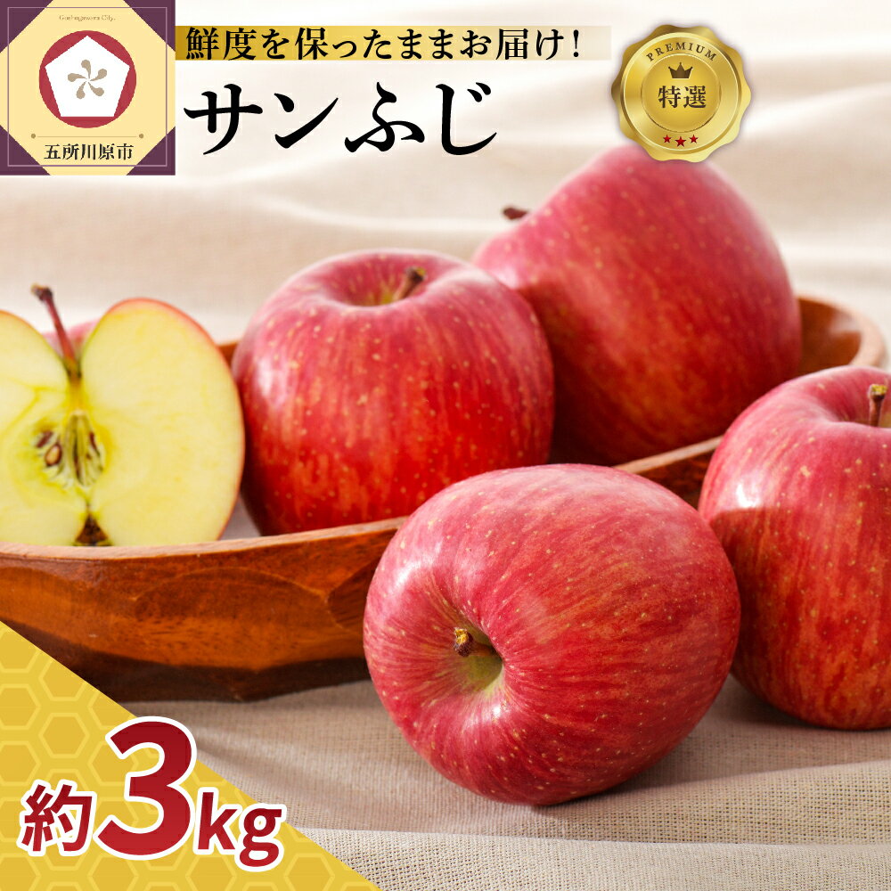 【ふるさと納税】【発送時期が選べる】≪特選≫ りんご 3kg サンふじ スマートフレッシュTM貯蔵 または CA貯蔵 リンゴ 林檎 青森りんご お取り寄せ ご当地 特産 季節 冬 果汁 アップル 先行予約 ランキング 旬 送料無料 贈答用 3キロ 東北 果物 フルーツ 青森県 五所川原市