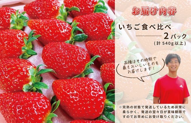 【先行予約】完熟新鮮 いちご 食べ比べ 2パック 合計540g以上 G1218_イメージ3