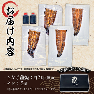 国産 うなぎ蒲焼 無頭(計2尾)  ウナギ 鰻 蒲焼き うな重 ひつまぶし タレ 魚 冷凍 大分県 佐伯市【(株)ネクサ】【DH259】