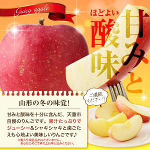 りんご ( 早生ふじ ) 10kg フルーツ 果物 山形 08-01-099