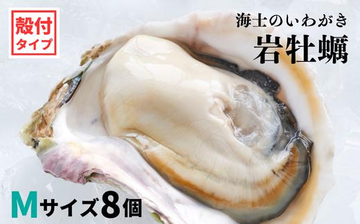 【海士のいわがき】新鮮クリーミーな高級岩牡蠣 殻付きMサイズ×６個