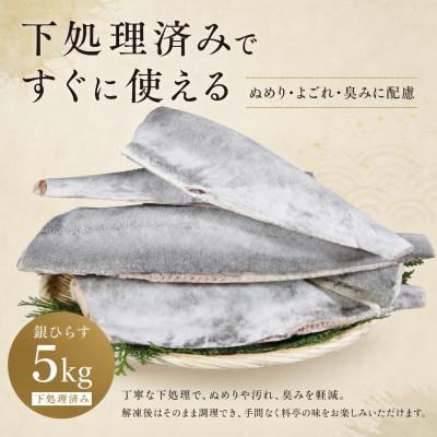 ふるさと納税 銚子市 銀ひらす 下処理済み 5kg |  | 01