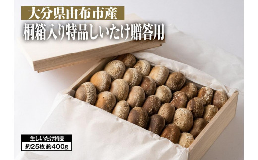 
【全国銅賞受賞】＜贈答用＞桐箱入り特品しいたけ(約400ｇ・サイズ混合約25枚)｜栽培期間農薬不使用【 しいたけ 椎茸 きのこ 野菜 椎茸 朝採れ 人気 おすすめ 大分県 由布市 AW08 】

