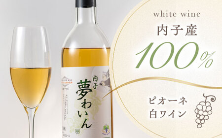 赤(ベリーA)+白(ピオーネ) 1本約720ml 各1本 計1440ml BKAG005 ワイン