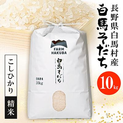 ふるさと納税 白馬村 【令和7年産】『白馬そだち』長野県白馬村産　お米　こしひかり10kg(精米)
