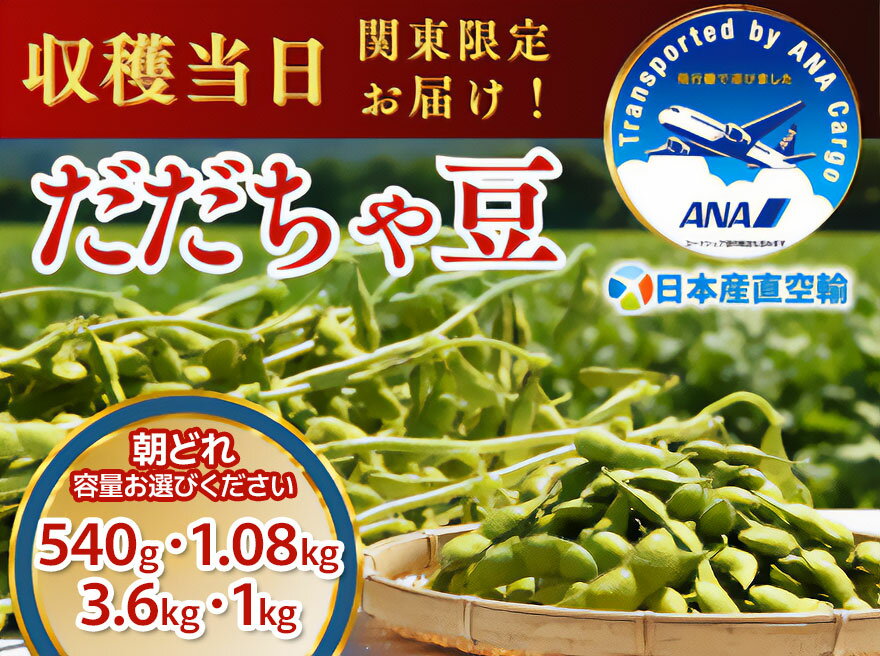 【ふるさと納税】【令和7年産先行予約】 朝採れだだちゃ豆(枝豆) 容量お選びください［540g〜3.6kg］「産直空輸」で限界鮮度を当日お届け！