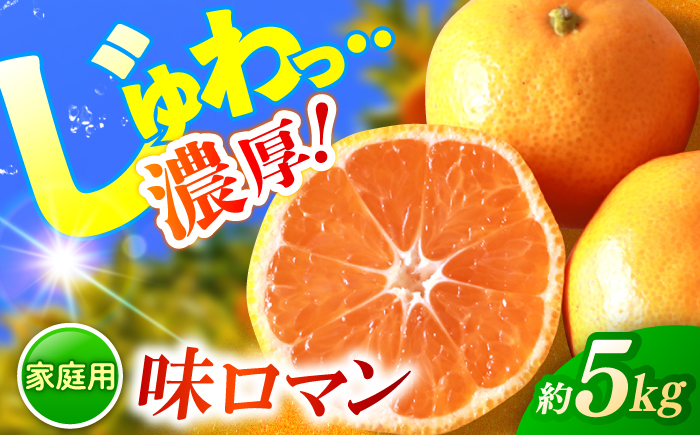 【ご家庭用】 長崎 味ロマン みかん 約5kg＜長崎西彼農業協同組合＞ [CGU001]