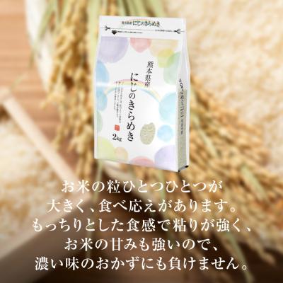 ふるさと納税 八代市 【令和7年産】  熊本県産 にじのきらめき10kg(5kg×2袋)_132-6711 |  | 03